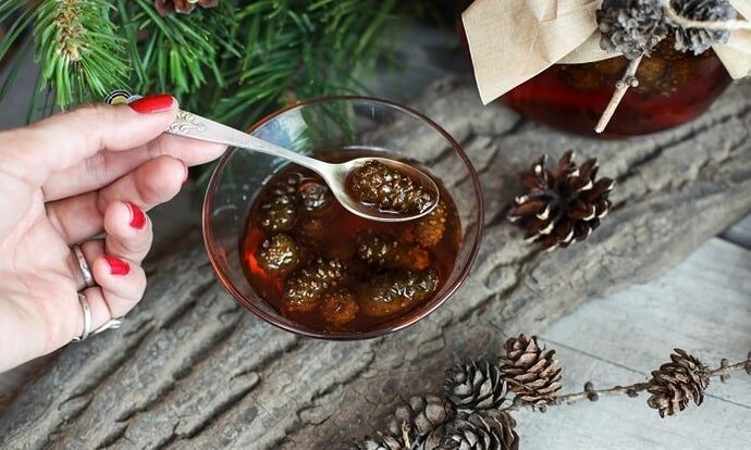 Tintura a base di gemme di pino per il trattamento domiciliare dell'osteocondrosi cervicale